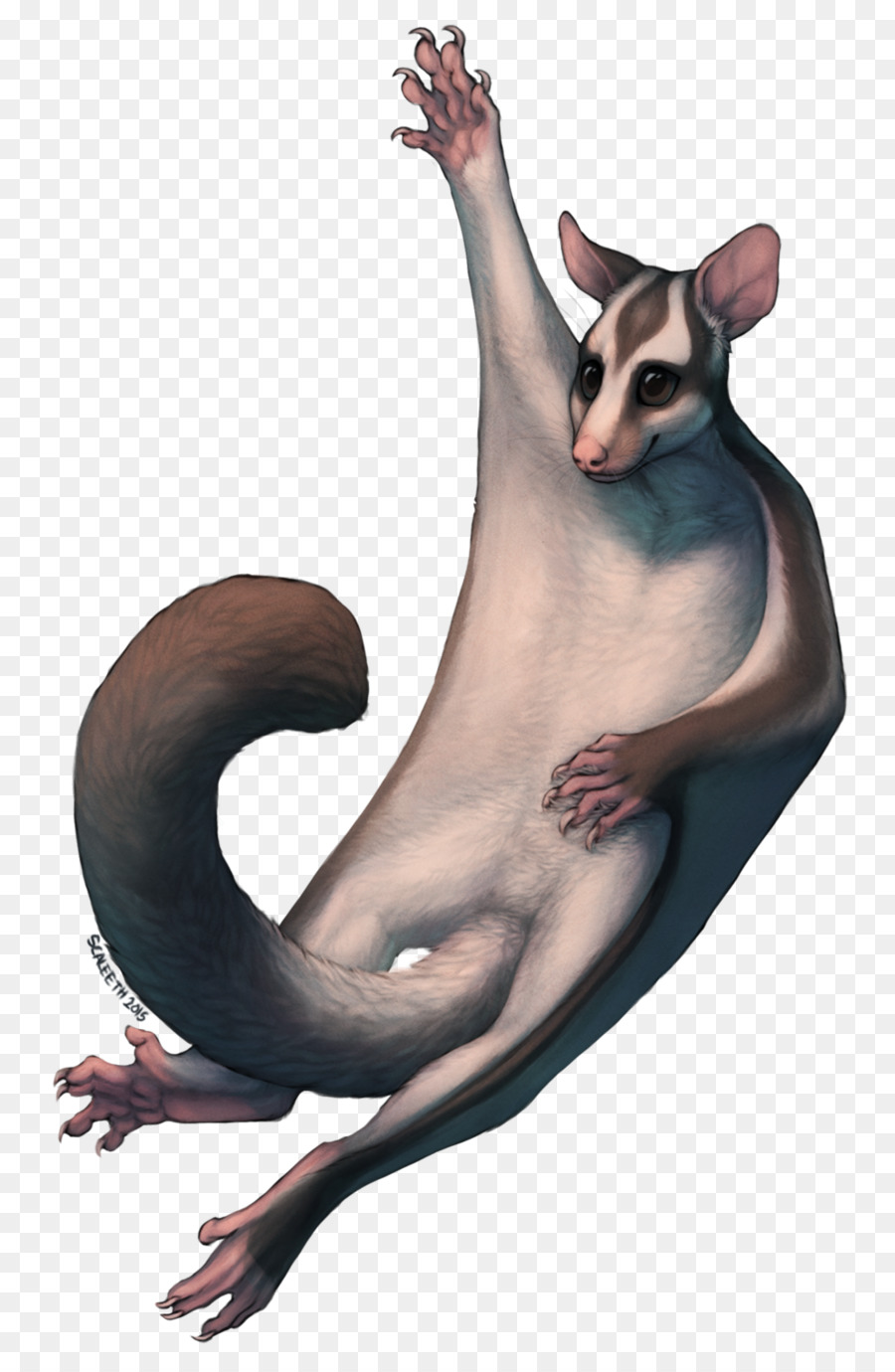 Gato，Planeador De Azúcar PNG