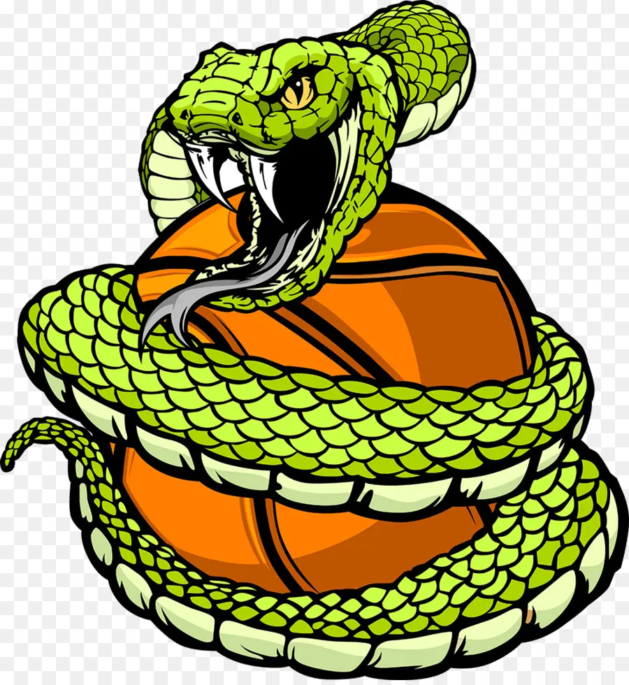 Serpiente，Baloncesto PNG