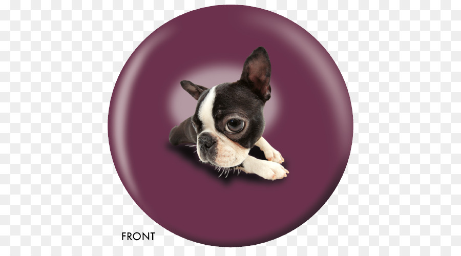 Boston Terrier，Bulldog De Juguete PNG