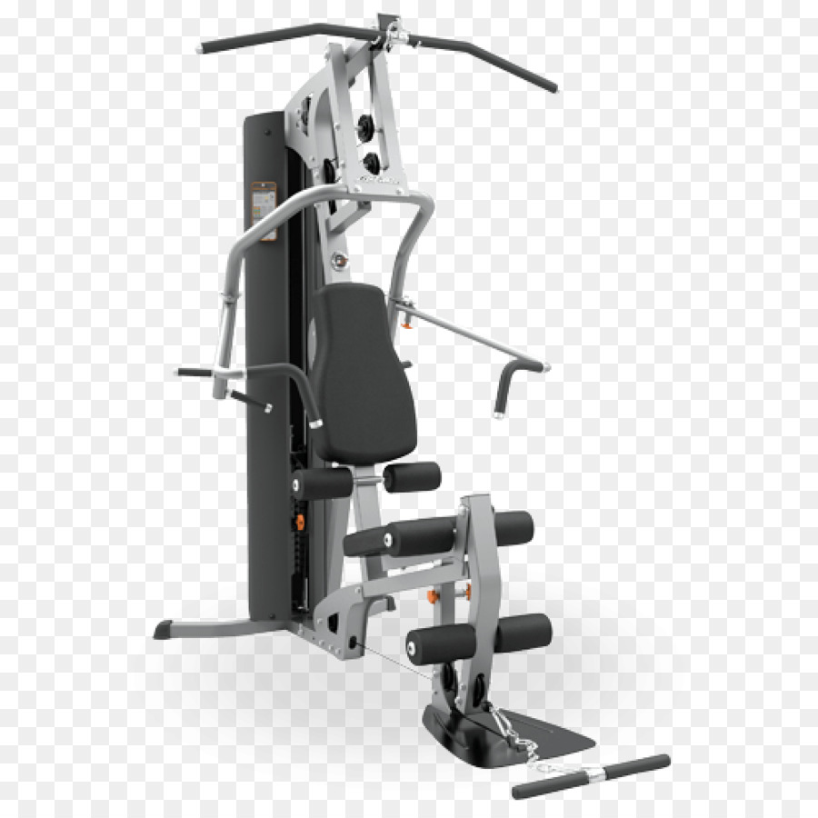 Ejercicio De Vida，Gimnasio PNG