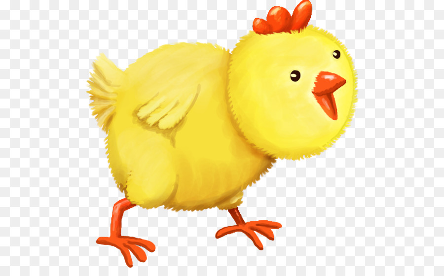 Gallina Con Pollitos，Gallina PNG