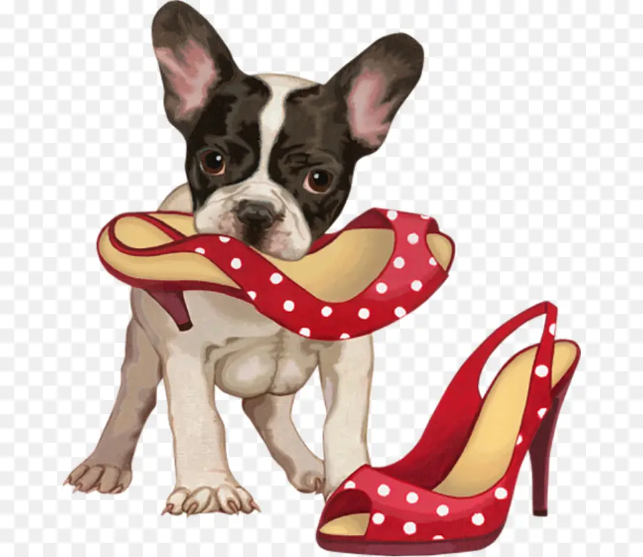 Cachorro Con Zapato，Perro PNG