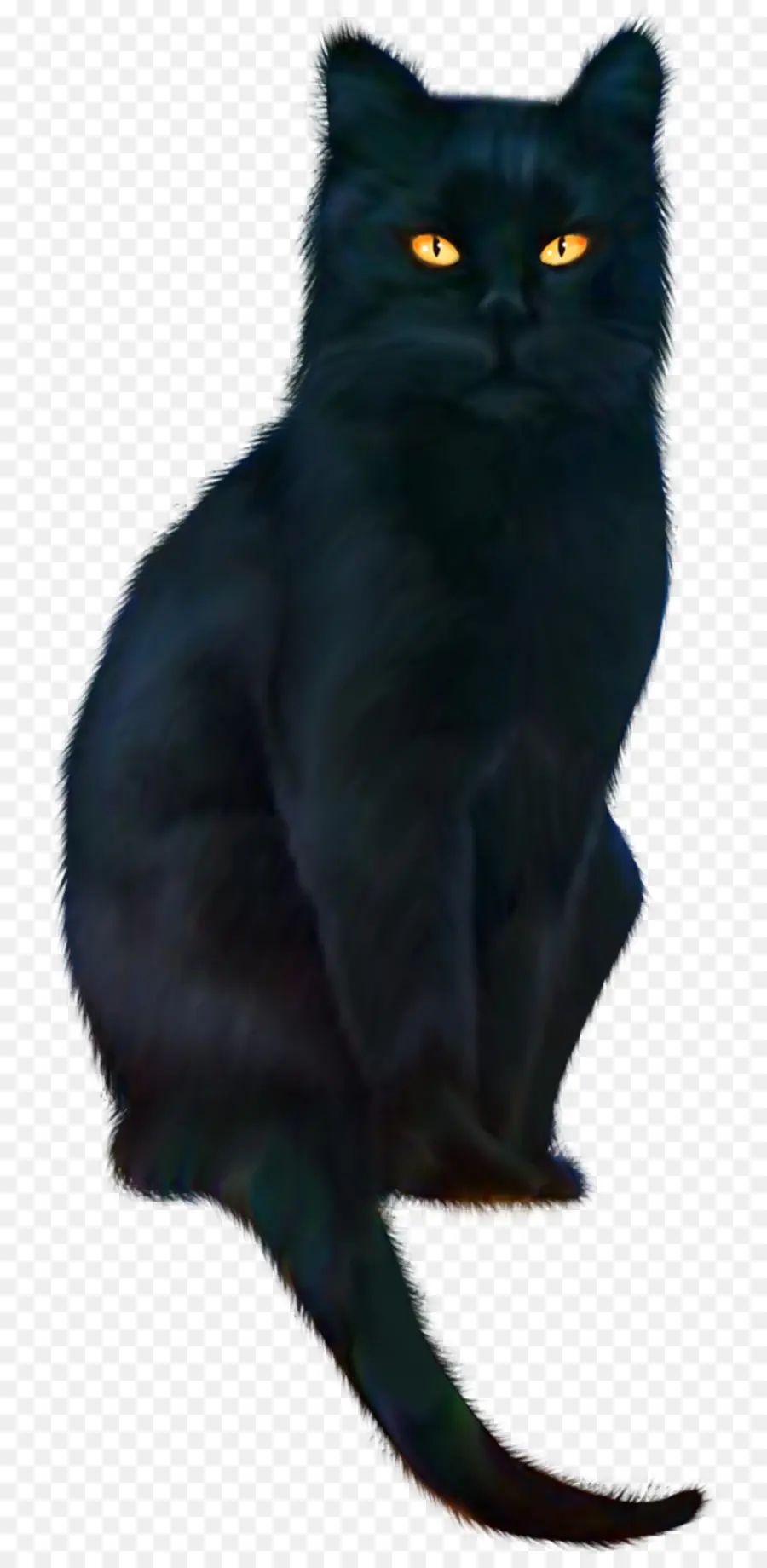 Gato Negro，Gato De Bombay PNG