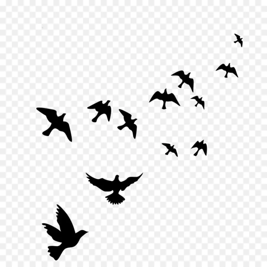 Aves En Vuelo，Rebaño PNG