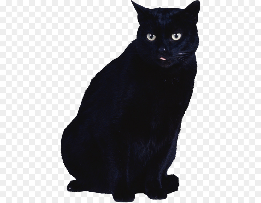 Gato Negro，Mascota PNG