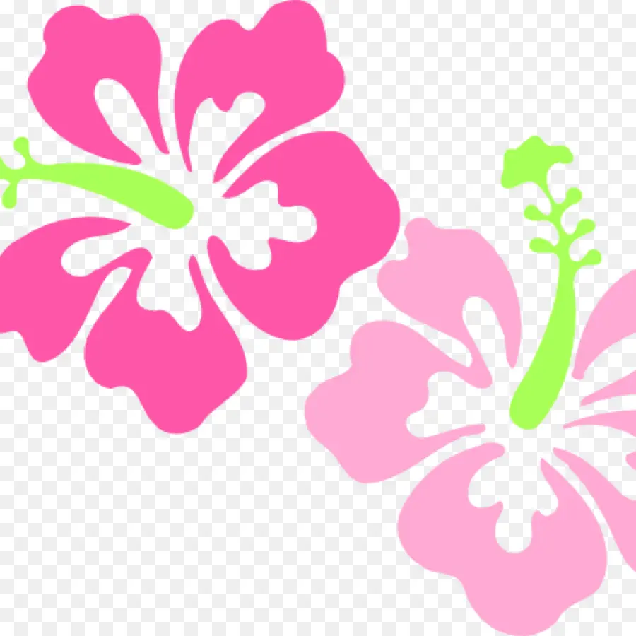 Hawai，Rosemallows PNG