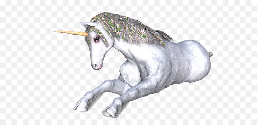 Unicornio，Dibujo PNG