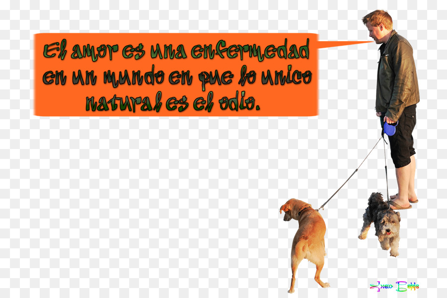 Perro，Perro Caminando PNG