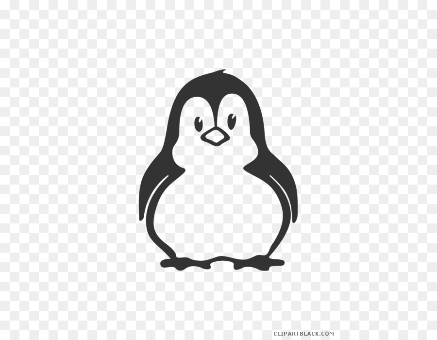 Pingüino，Pájaro PNG