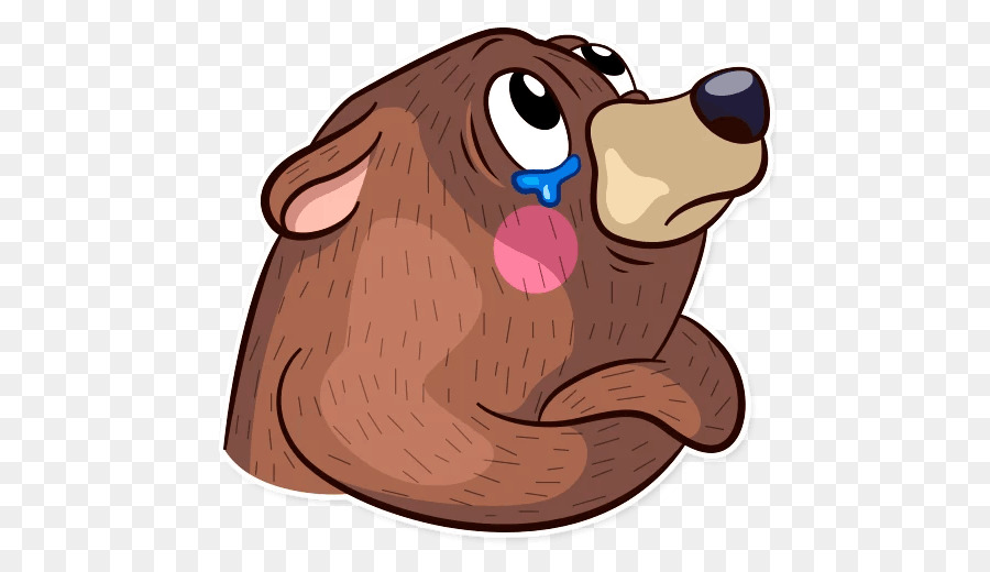 Perro，Oso PNG