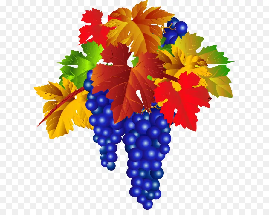 Uvas，Hojas PNG