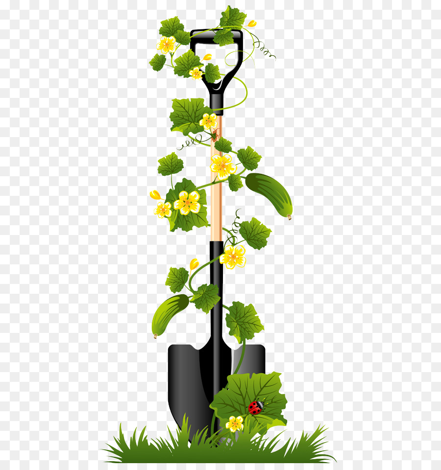 Pala Con Plantas，Plantas PNG