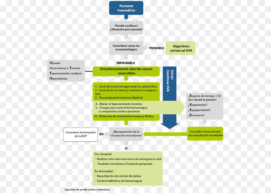 Consejo Europeo De Reanimación，Reanimación Cardiopulmonar PNG