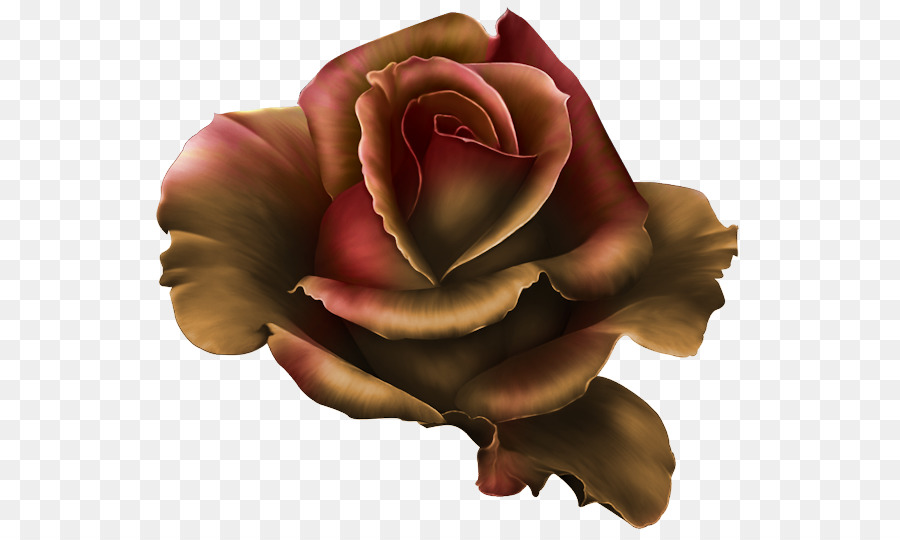 Rosa，Decoupage PNG