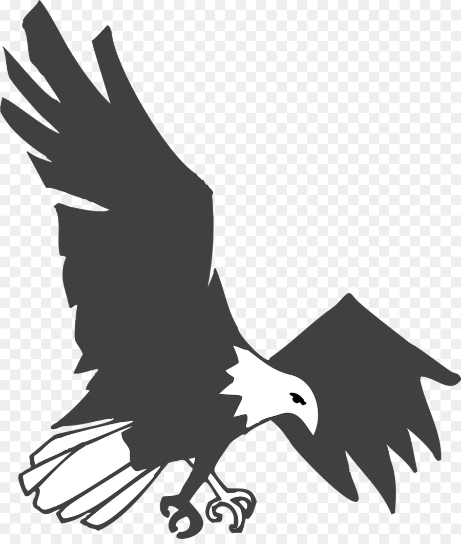Águila Calva，Pájaro PNG