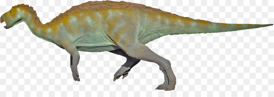 Velociraptor，Tiranosaurio PNG