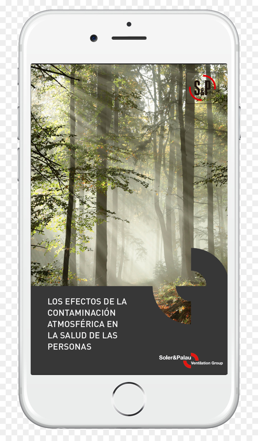 Todoterreno，Bosque PNG