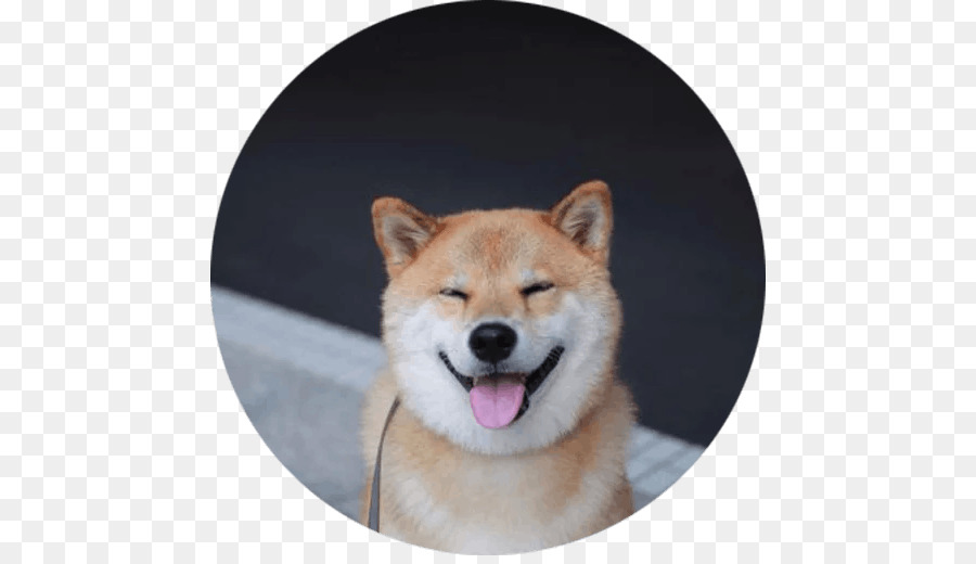 Perro，Mascota PNG