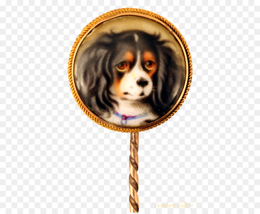 Rey Cavalier Charles Spaniel，Cachorro PNG