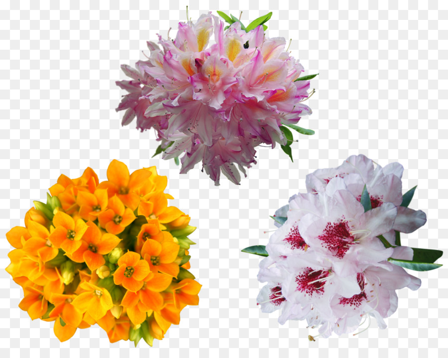 Arbusto，Cortar Flores PNG