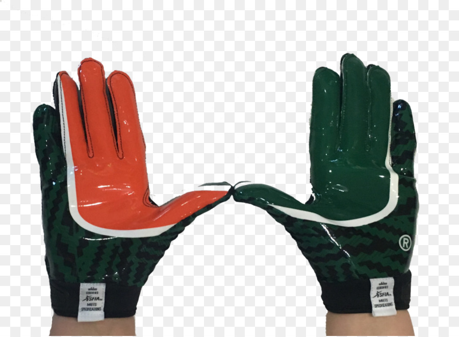 Fútbol De Miami Hurricanes，Miami Dolphins PNG