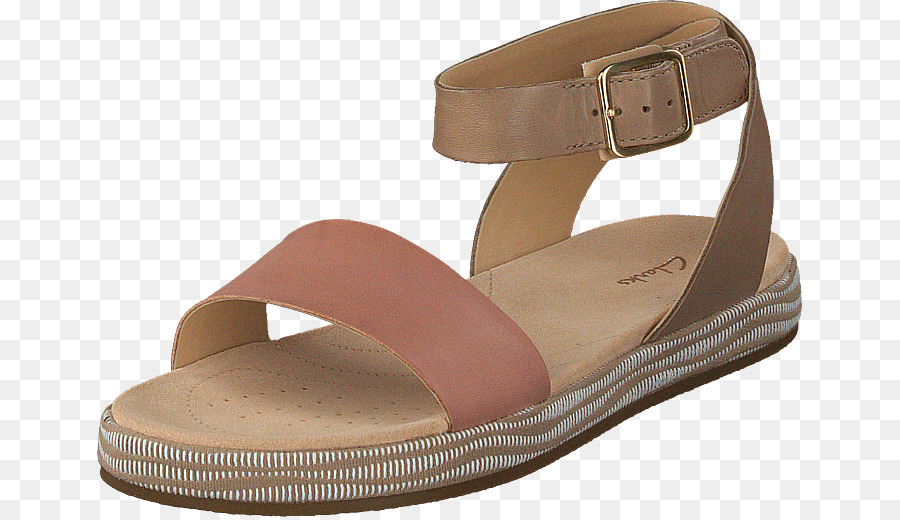 Zapatilla，Zapato PNG