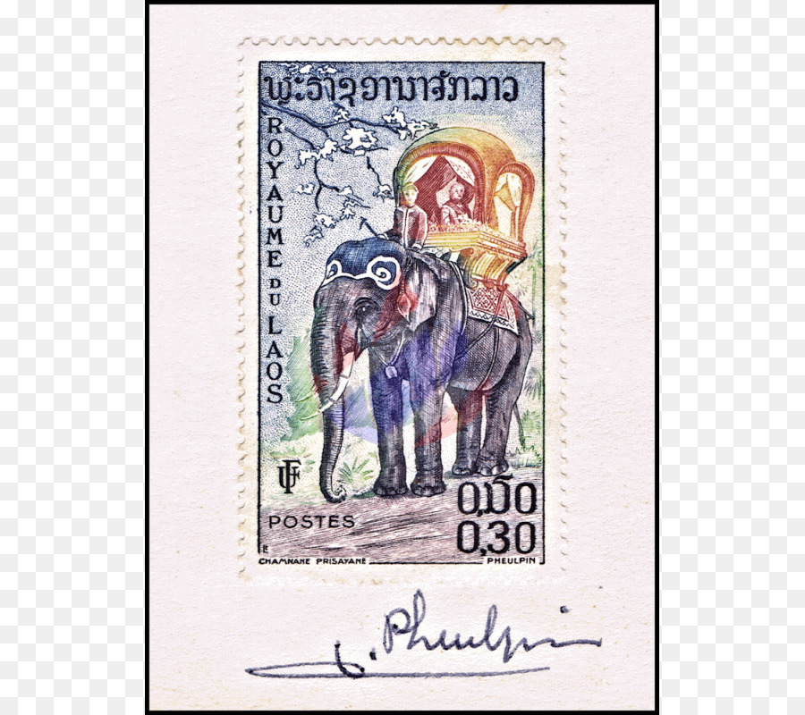 Elefante Asiático，Papel PNG