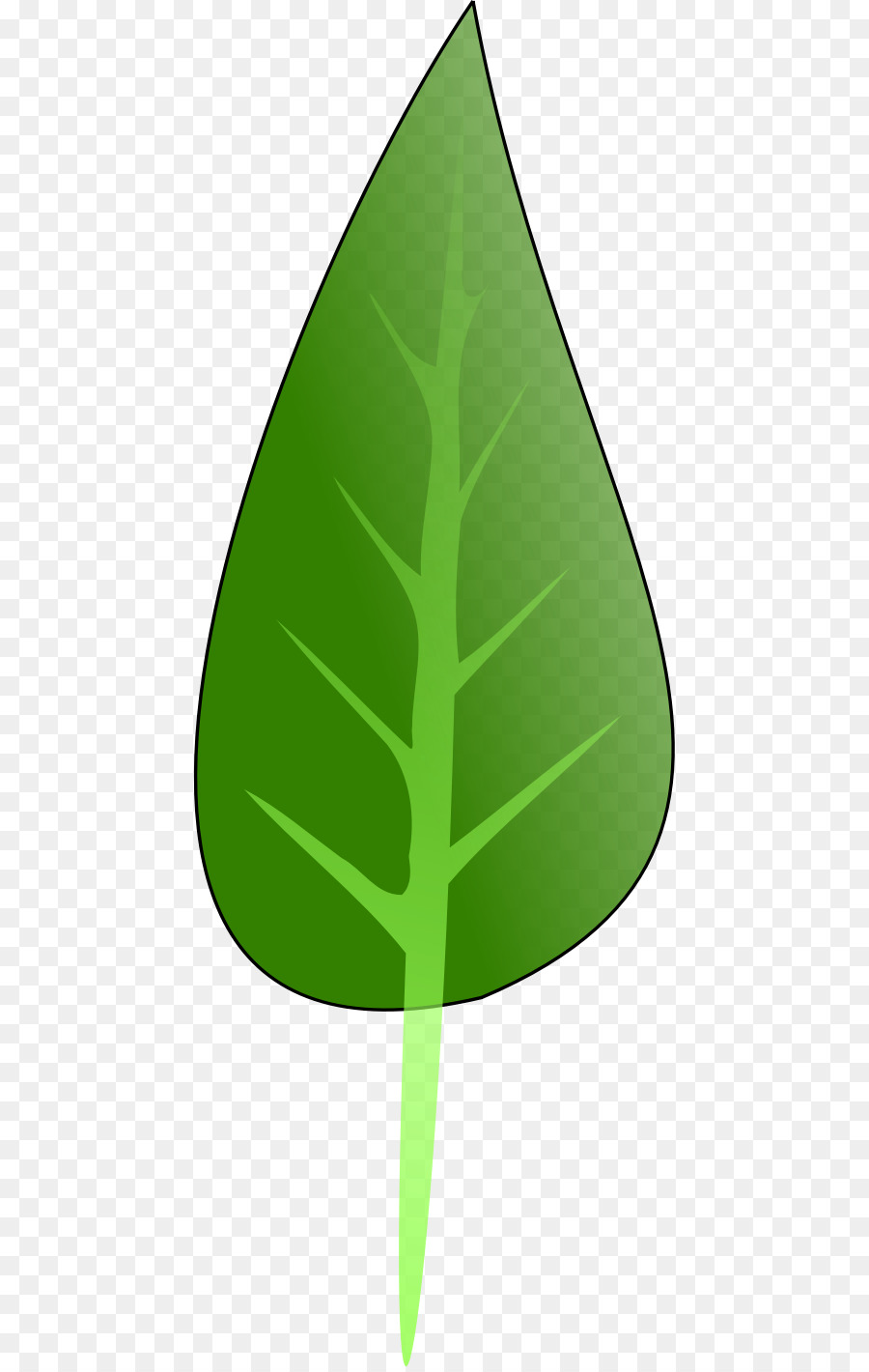 Hoja，Triángulo PNG