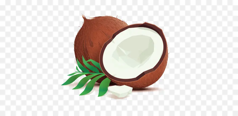 Agua De Coco，Coco PNG