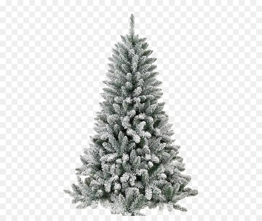 Abeto，árbol De Navidad PNG