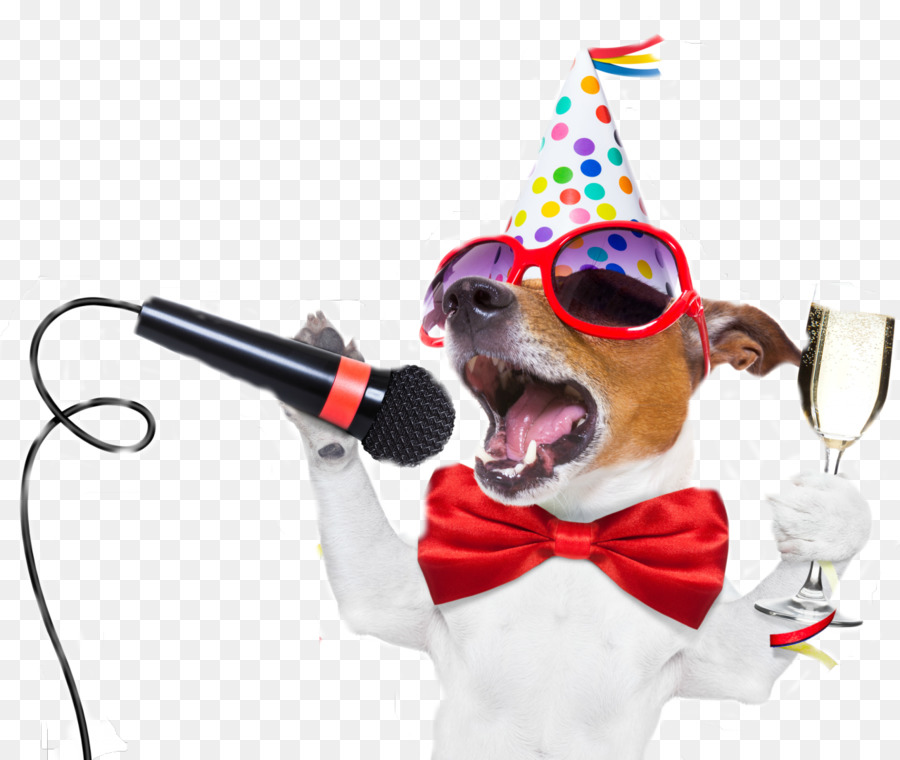 Jack Russell Terrier，Cachorro PNG