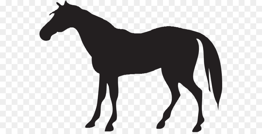 Caballo Andaluz，Negro PNG