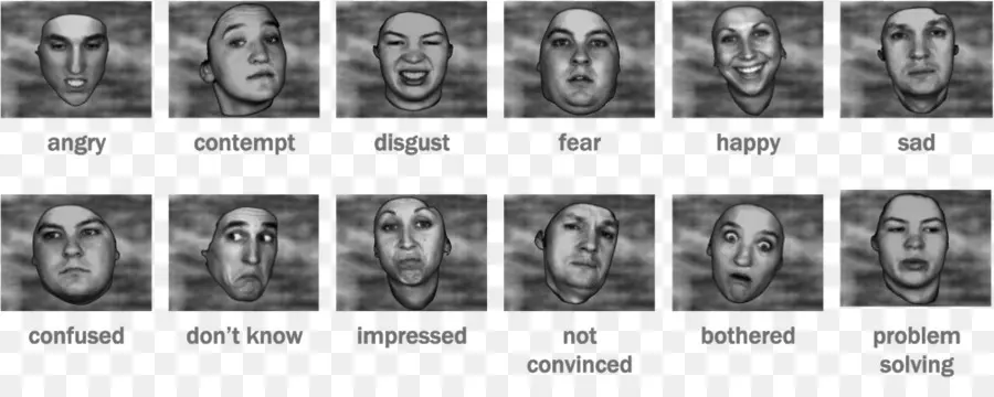 Expresión Facial，Emoción PNG