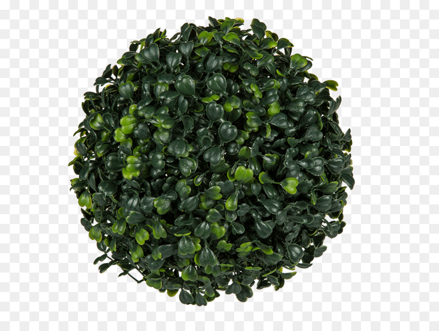 Bola De Planta Verde，Artificial PNG