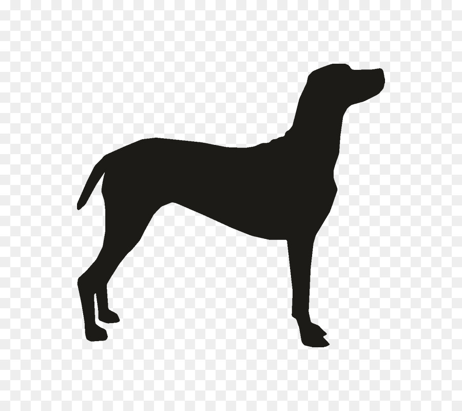 Silueta De Perro，Mascota PNG