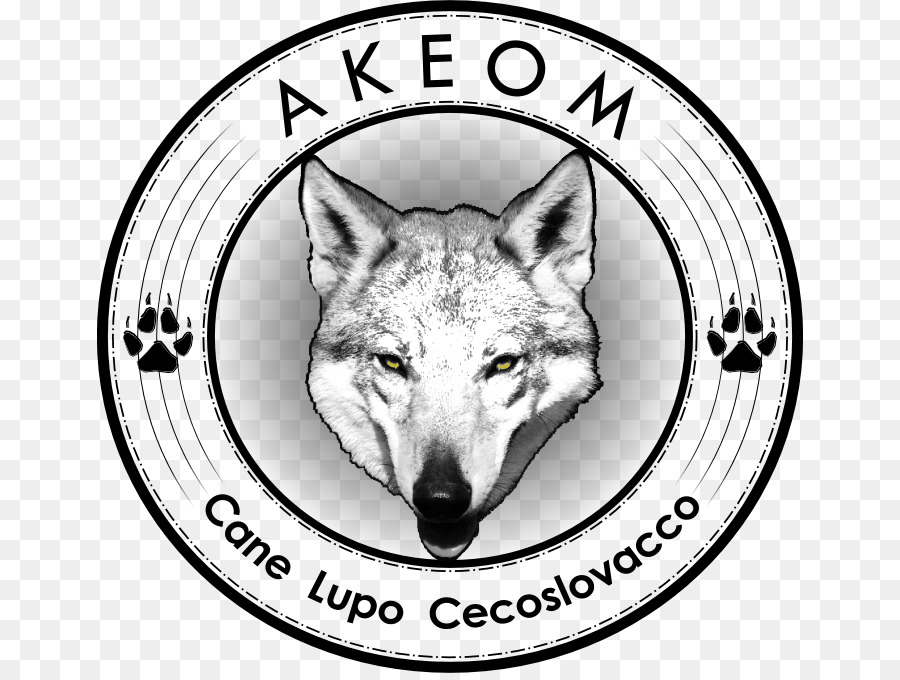 Perro Lobo Checoslovaco，Italia PNG