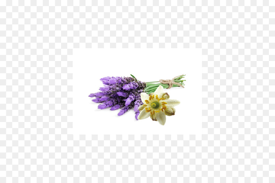 Lavanda，Flor PNG