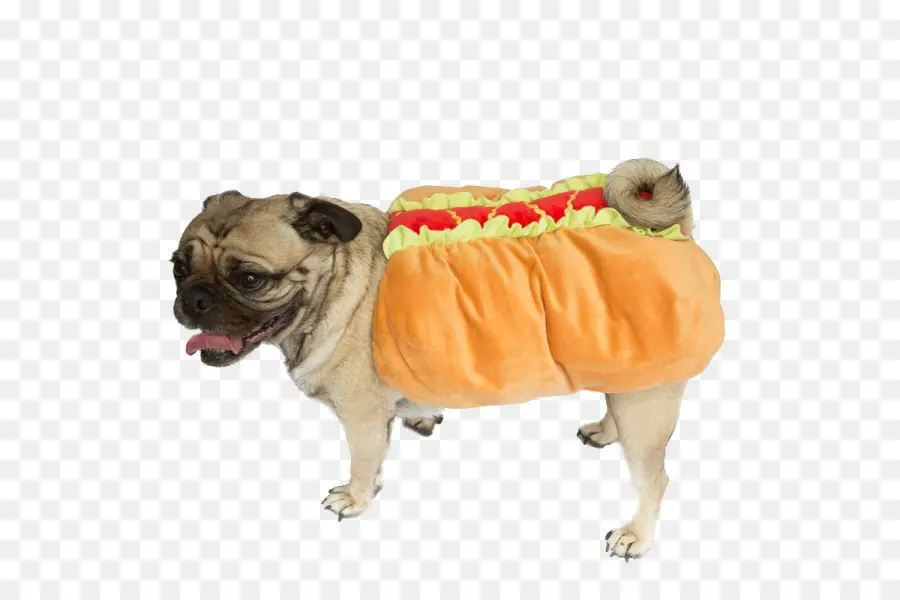 Doguillo，Hot Dog PNG