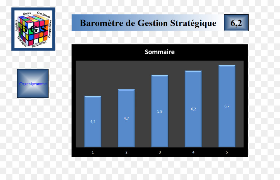 Organización，Estrategia PNG