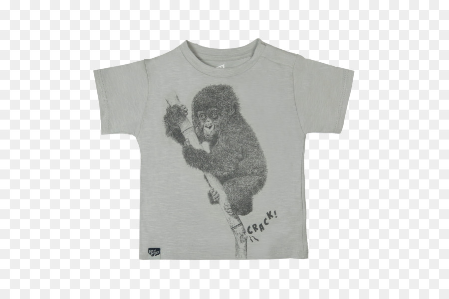 Camiseta，Ocio PNG