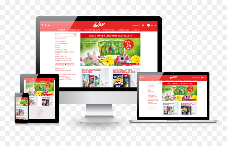 Diseño Web，Proyecto Web PNG