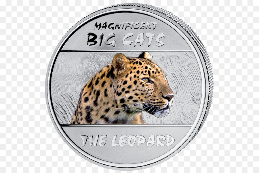 Tigre，El Leopardo De Amur PNG