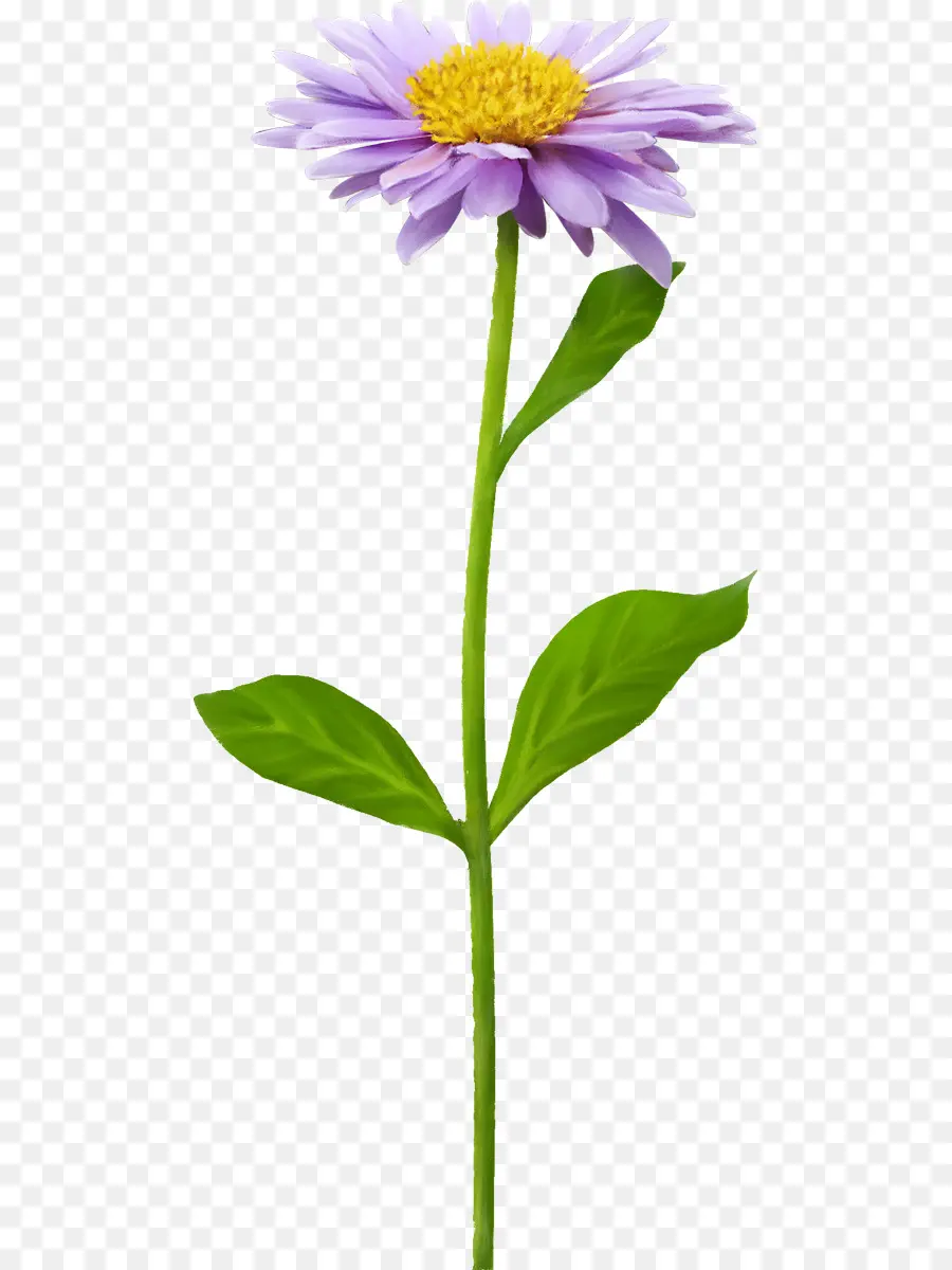 Flor，Gráficos Ráster PNG