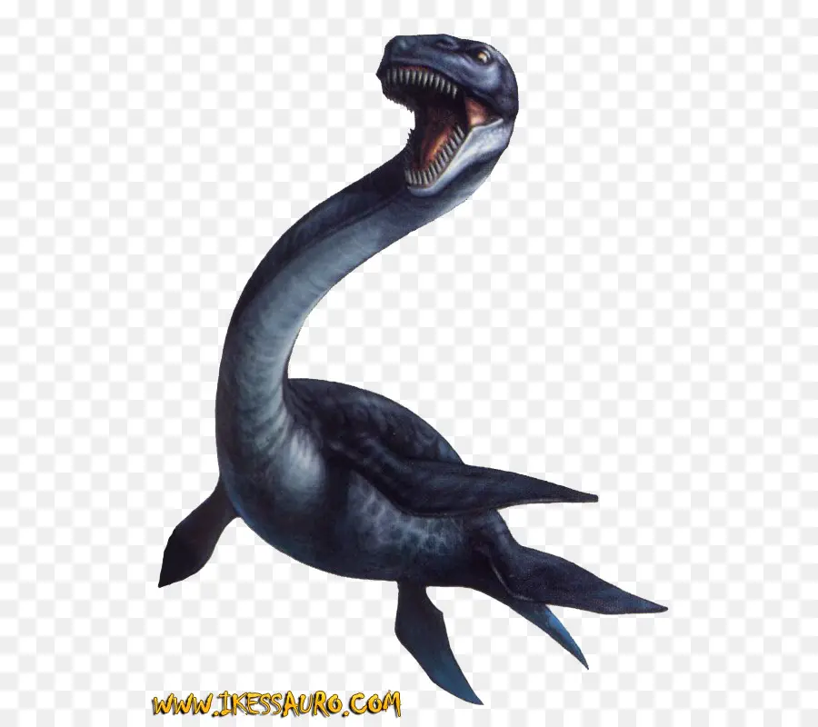 Velociraptor，Reptil PNG