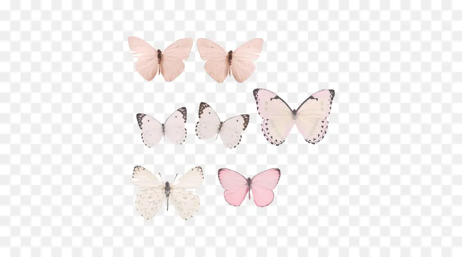 Mariposa，Pastel PNG