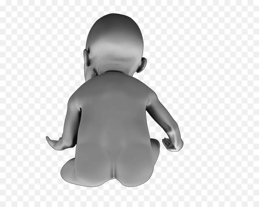 Modelo 3d Bebe，Niño PNG