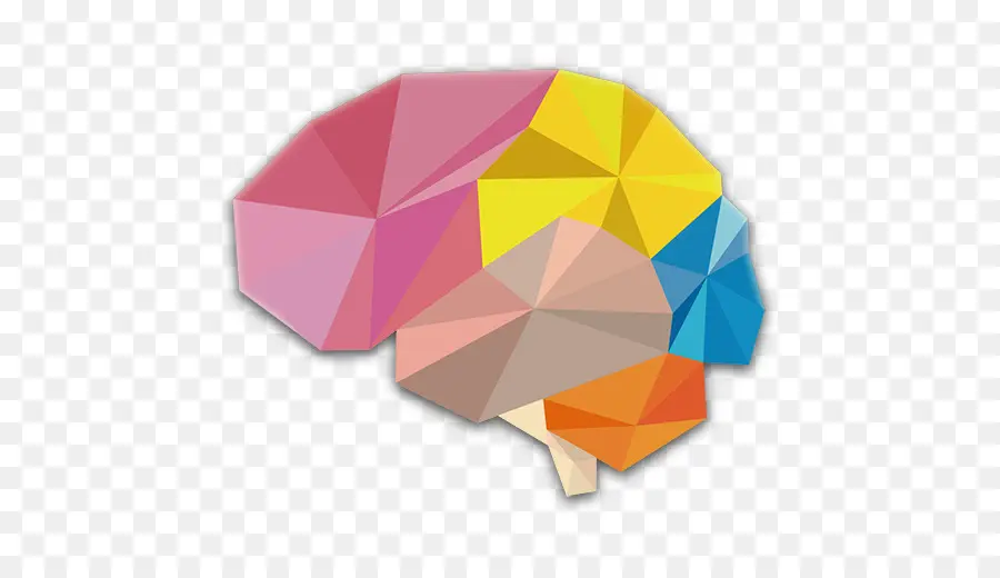 Cerebro Colorido，Ilustración PNG