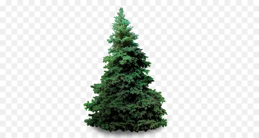 árbol De Navidad，Árbol De Navidad Artificial PNG