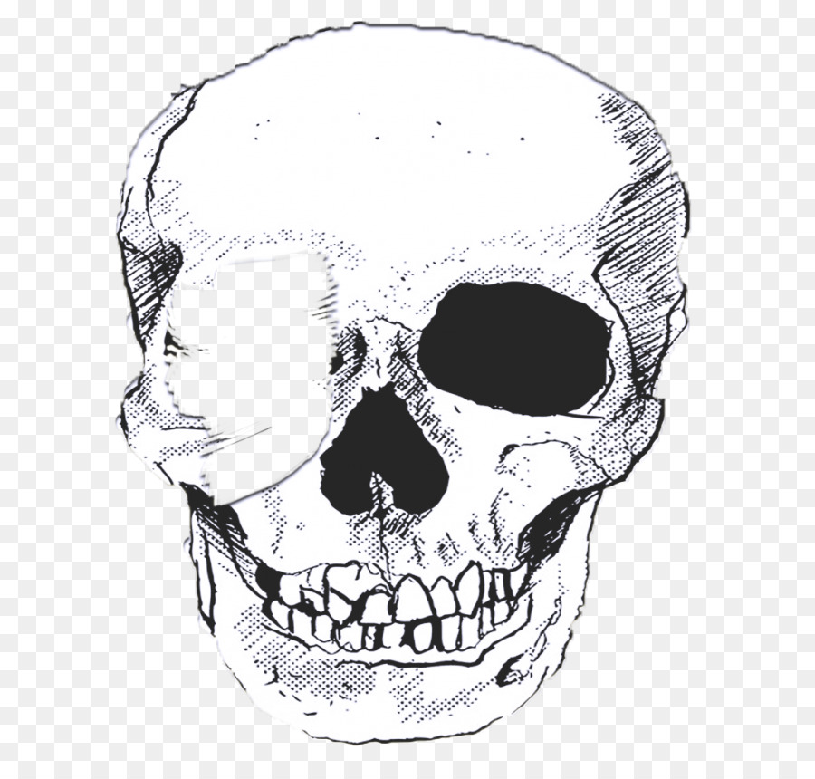 Calavera Colorida，Esqueleto PNG