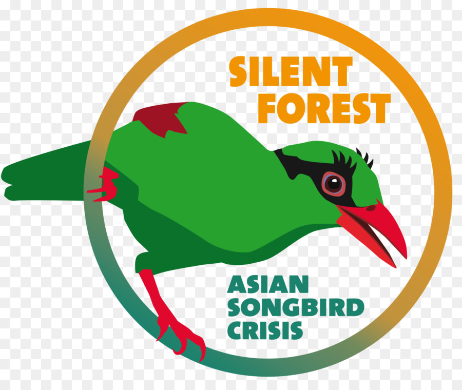 Songbird，Asia PNG